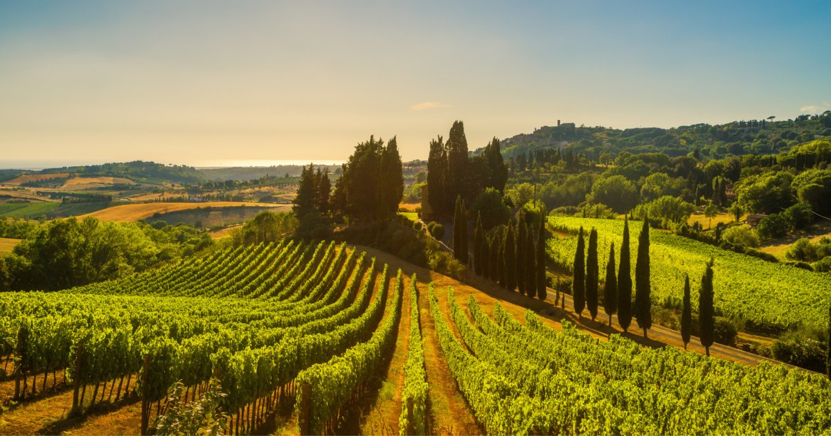 Grands vins d'Italie